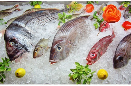 Где купить свежую рыбу в Спб и продукты с доставкой на дом?